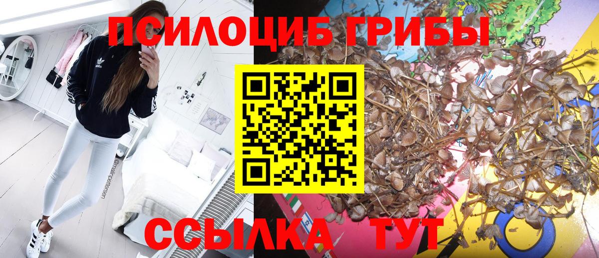 Псилоцибиновые грибы Magic Shrooms Ногинск