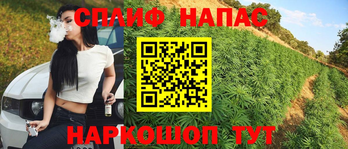 МАРИХУАНА Bruce Banner  Марихуана планчик  Ногинск  Канабис семена  Вход с VPN 